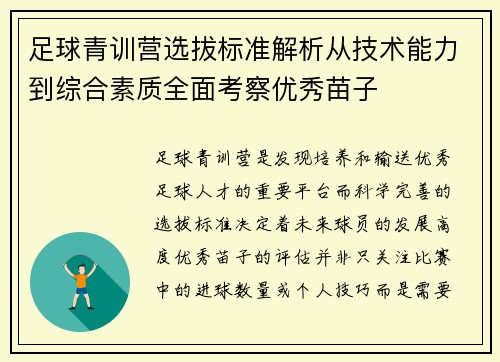 足球青训营选拔标准解析从技术能力到综合素质全面考察优秀苗子 足球青训营选拔标准解析从技术能力到综合素质全面考察优秀苗子
